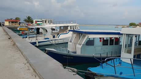 видео из отзыва ID 2746234