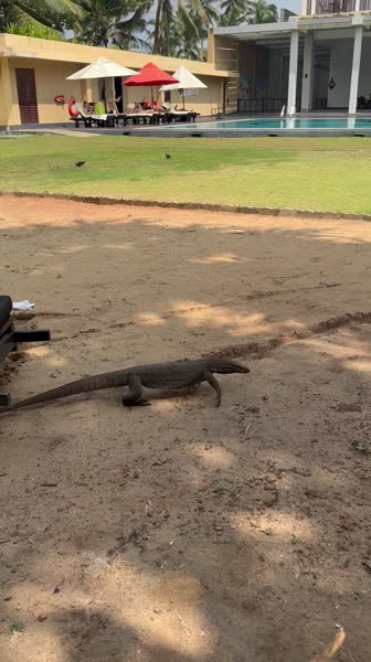 Hotel videos Turyaa Kalutara 4*