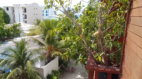 видео из отзыва ID 2746234