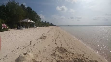 видео из отзыва ID 2746234