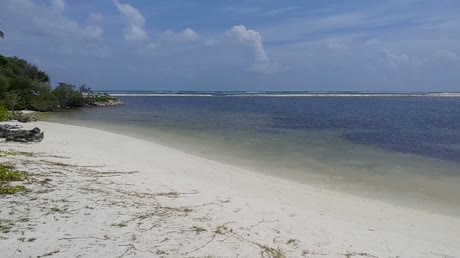 видео из отзыва ID 2746234