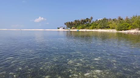 видео из отзыва ID 2746234