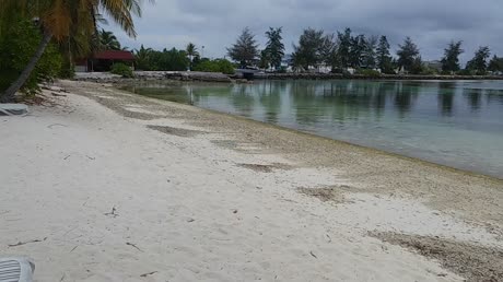 видео из отзыва ID 2746234