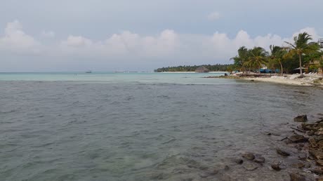 видео из отзыва ID 2746234