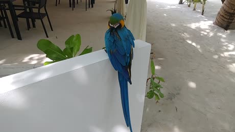 видео из отзыва ID 2746234