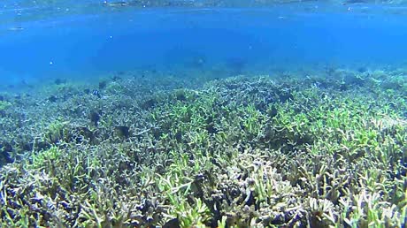 видео из отзыва ID 2746234