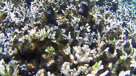 видео из отзыва ID 2746234