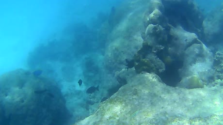 видео из отзыва ID 2746234