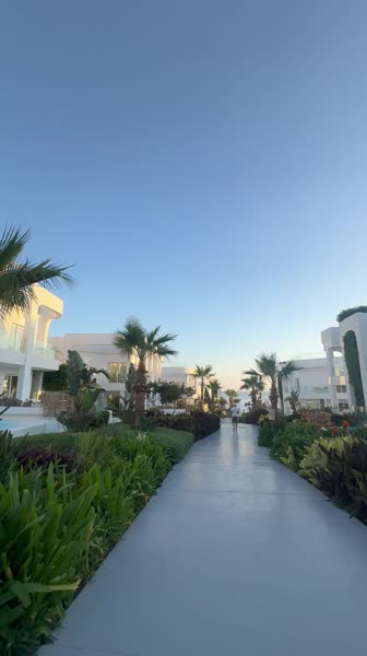 видео из отзыва ID 2746654