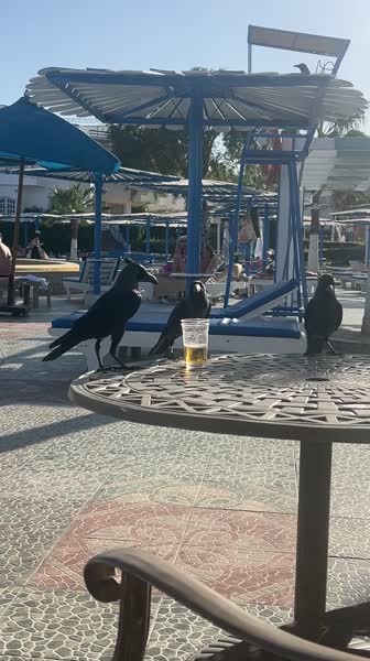 Видео из отеля