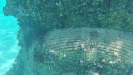 видео из отзыва ID 2746706