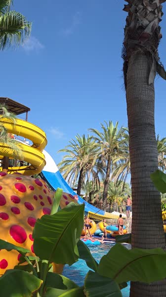 видео из отзыва ID 2746848