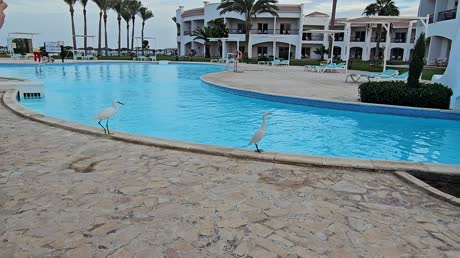 видео из отзыва ID 2746868