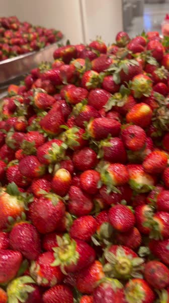 видео из отзыва ID 2747263