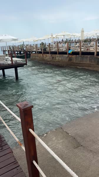 видео из отзыва ID 2747390