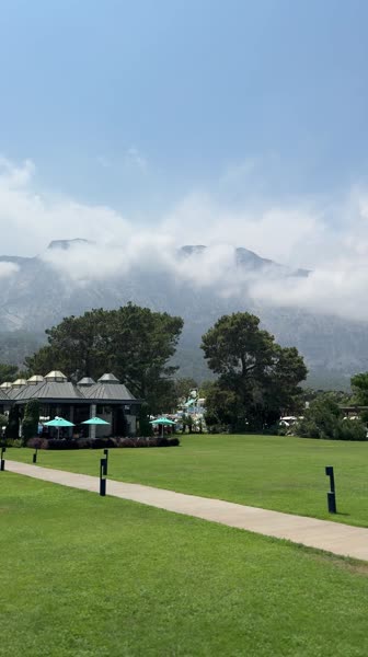 видео из отзыва ID 2747390