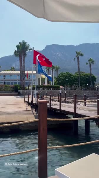 видео из отзыва ID 2747390