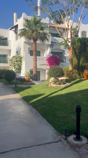 видео из отзыва ID 2747427