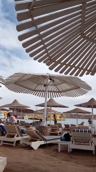 Hotel videos Turquoise Beach Hotel 3*