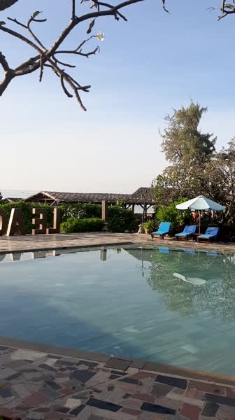 видео из отзыва ID 2747712