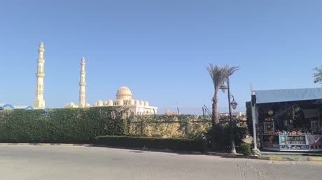 видео из отзыва ID 2747664