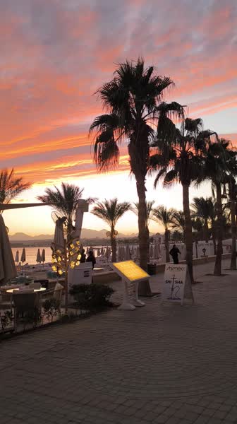 видео из отзыва ID 2747664