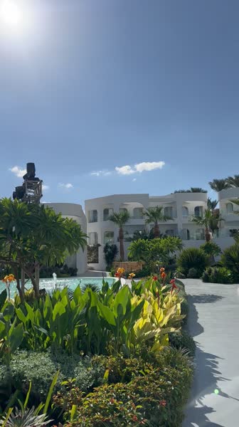 видео из отзыва ID 2747726