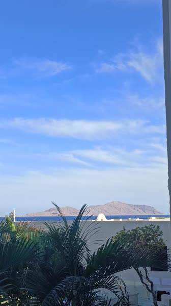 видео из отзыва ID 2748024