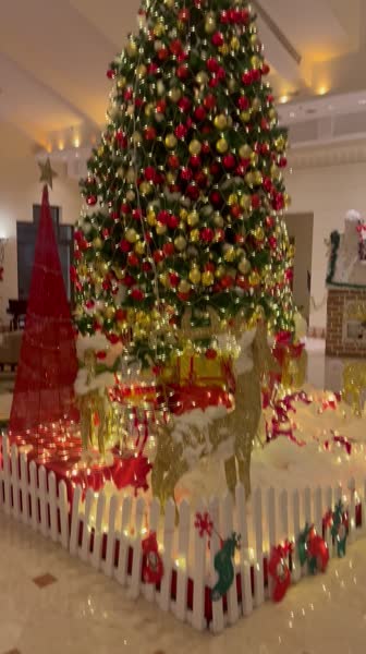 видео из отзыва ID 2748389