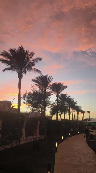 Hotel videos SUNRISE Remal Resort 4*