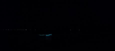 Видео из отеля Novela Muine Resort & Spa 3*