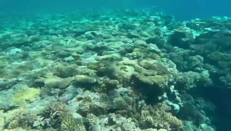 видео из отзыва ID 2748713