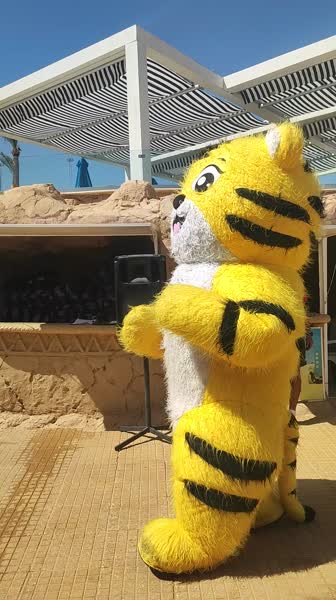 видео из отзыва ID 2748919