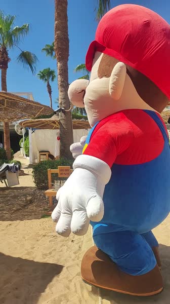 видео из отзыва ID 2748919