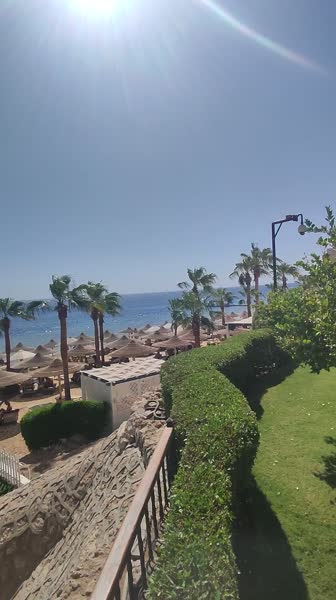 видео из отзыва ID 2748919