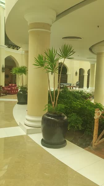 видео из отзыва ID 2748919