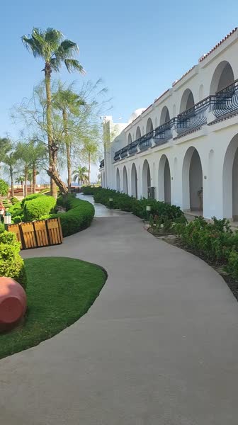 видео из отзыва ID 2748919