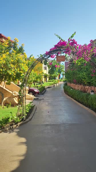 видео из отзыва ID 2748919