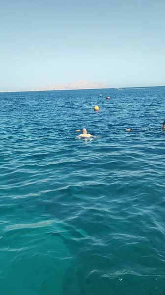 видео из отзыва ID 2748919