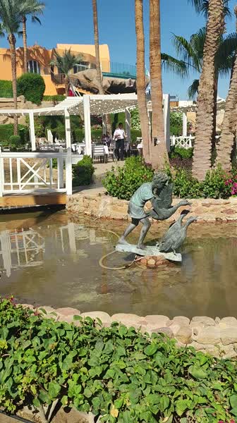 видео из отзыва ID 2748919