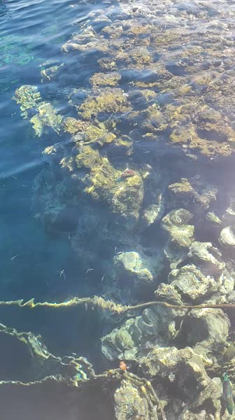 видео из отзыва ID 2748919