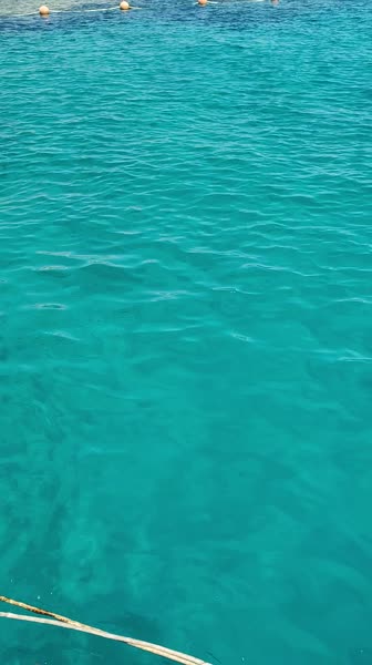 видео из отзыва ID 2748919