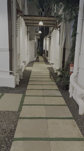 Hotel videos Arambol Sweet Lake Resort 