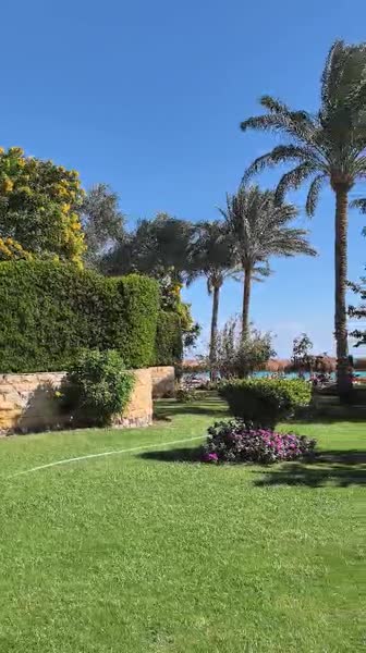 Hotel videos Sentido Caribbean World Soma Bay 5*