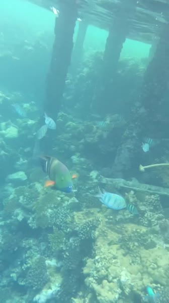 видео из отзыва ID 2673429