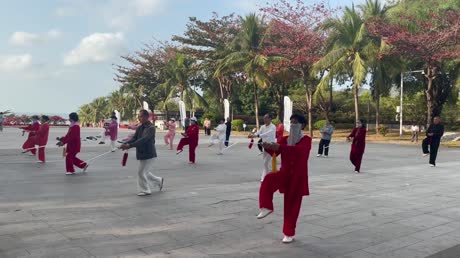 видео из отзыва ID 2674982