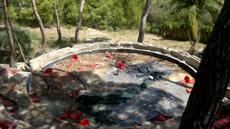 видео из отзыва ID 1918966