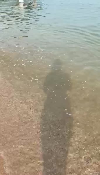 видео из отзыва ID 2681412