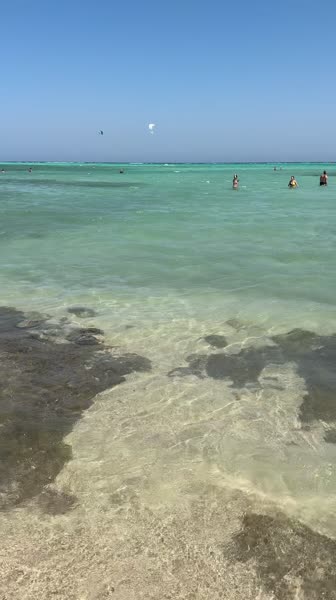 Видео из отеля Dream Lagoon Beach Marsa Alam 5*