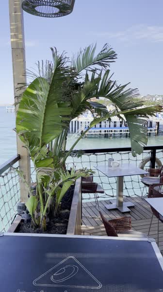Видео из отеля Blue Marlin Deluxe Spa & Resort 5*